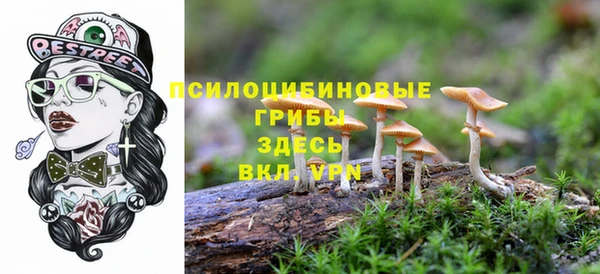 экстази Алексеевка